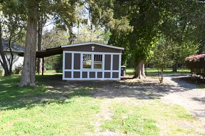 217 Forest Bickley Road, Chapin, SC 29036 - Photo 26