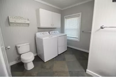 217 Forest Bickley Road, Chapin, SC 29036 - Photo 20