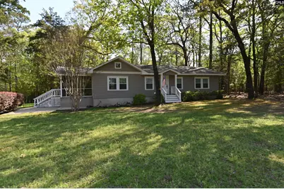217 Forest Bickley Road, Chapin, SC 29036 - Photo 2