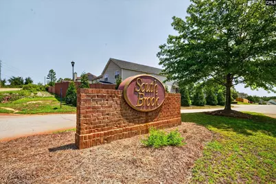 107 Whitton Court, Lexington, SC 29073 - Photo 4