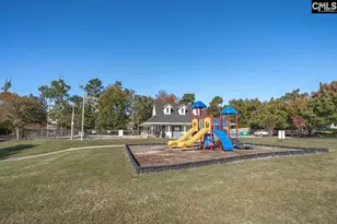 201 Stoney Pointe Dr, Chapin, SC 29036 - Photo 50