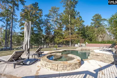 201 Stoney Pointe Drive, Chapin, SC 29036 - Photo 8