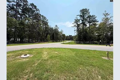 Lot 78 Elms Spinney Lane #78, Chapin, SC 29036 - Photo 22