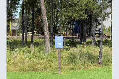Lot 78 Elms Spinney Lane #78, Chapin, SC 29036 - Photo 14