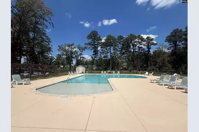 Lot 78 Elms Spinney Lane #78, Chapin, SC 29036 - Photo 10