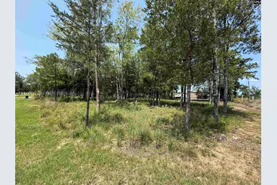 Lot 78 Elms Spinney Lane #78, Chapin, SC 29036 - Photo 16