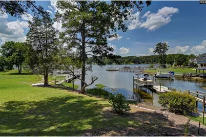 262 Breezy Bay Drive, Gilbert, SC 29054 - Photo 2