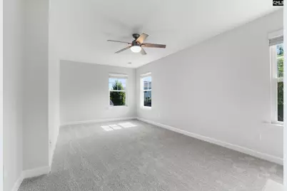 425 Maria Posada Court, Chapin, SC 29036 - Photo 22