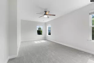 425 Maria Posada Ct, Chapin, SC 29036 - Photo 22