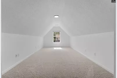 245 Loskin Lane, Lexington, SC 29073 - Photo 30