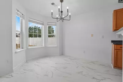 245 Loskin Lane, Lexington, SC 29073 - Photo 8