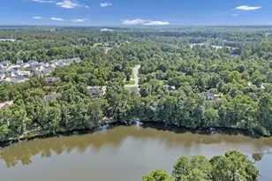 120 Talon Way, Blythewood, SC 29016 - Photo 62