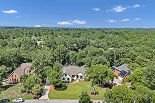 120 Talon Way, Blythewood, SC 29016 - Photo 58
