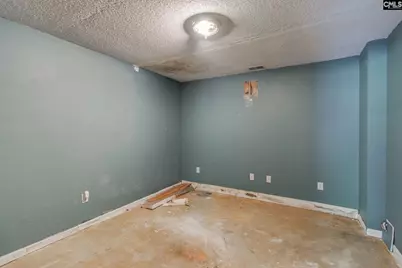 550 Saint Pauls Church Road, Gilbert, SC 29054 - Photo 52