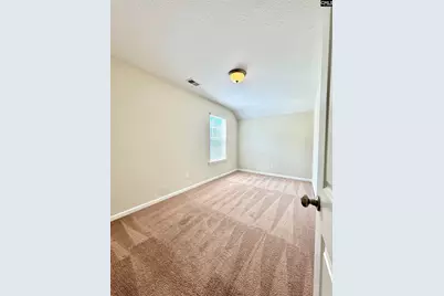 234 Hawkins Creek Road, Blythewood, SC 29016 - Photo 32