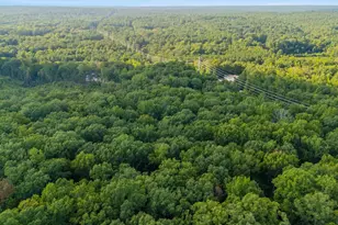 1287 Muddy Ford Rd, Chapin, SC 29036 - Photo 50