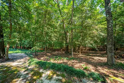 212 Farmington Court, Lexington, SC 29072 - Photo 60