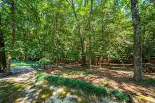 212 Farmington Ct, Lexington, SC 29072 - Photo 60