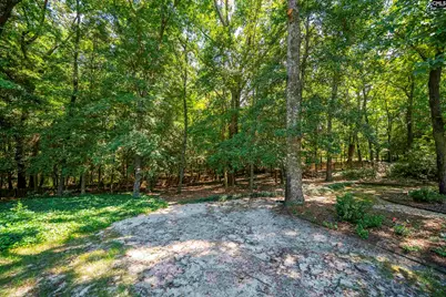 212 Farmington Court, Lexington, SC 29072 - Photo 54