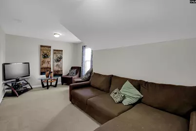 516 Foxstone Drive, Chapin, SC 29036 - Photo 26