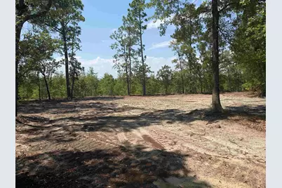 Lot 1 Patrick Highway #1, Hartsville, SC 29550 - Photo 2