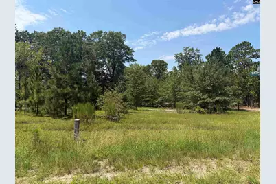 Lot 1 Patrick Highway #1, Hartsville, SC 29550 - Photo 4