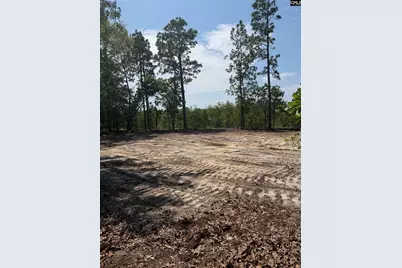 Lot 1 Patrick Highway #1, Hartsville, SC 29550 - Photo 1