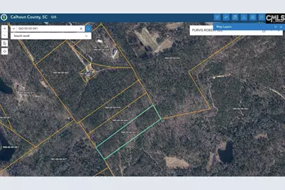 0 Indian Trail, Sandy Run, SC 29160 - Photo 2
