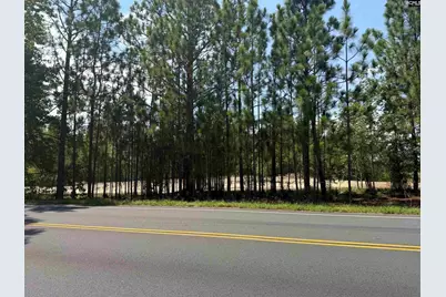 Lot 2 Patrick Highway #2, Hartsville, SC 29550 - Photo 4