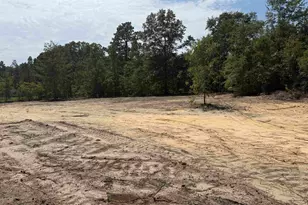 Lot 2 Patrick Hwy, Hartsville, SC 29550 - Photo 1