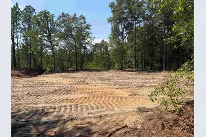 Lot 3 Patrick Highway #3, Hartsville, SC 29550 - Photo 4