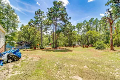 264 Casa Dell Road, Gaston, SC 29053 - Photo 22