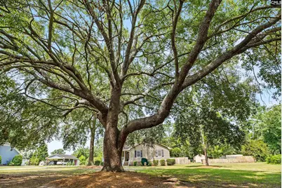 377 Woodland Circle, Lugoff, SC 29078 - Photo 6