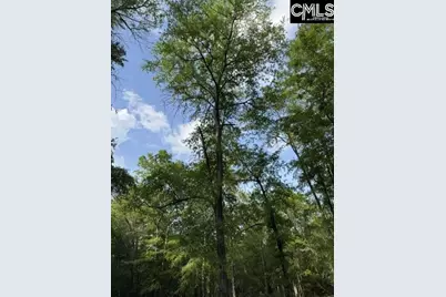430 Millers Pond, Salley, SC 29137 - Photo 4