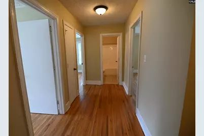 709 Saint Peters Church Road, Chapin, SC 29036 - Photo 18