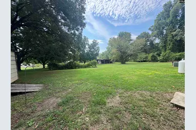 709 Saint Peters Church Road, Chapin, SC 29036 - Photo 20