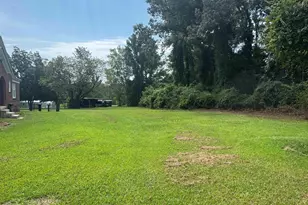 709 St Peters Church Rd, Chapin, SC 29036 - Photo 22
