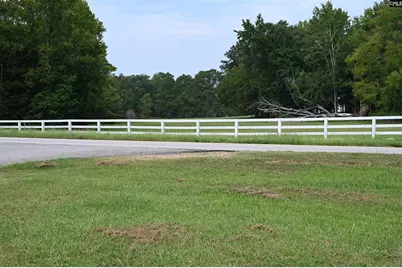 709 Saint Peters Church Road, Chapin, SC 29036 - Photo 24