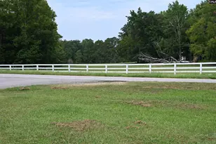 709 St Peters Church Rd, Chapin, SC 29036 - Photo 24