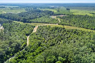 342 Water Tank Rd, Pelion, SC 29123 - Photo 46