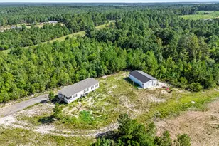 342 Water Tank Rd, Pelion, SC 29123 - Photo 36