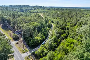 342 Water Tank Rd, Pelion, SC 29123 - Photo 44