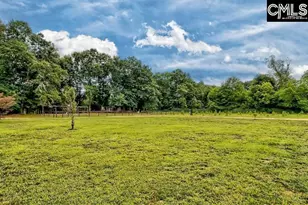 172 Eugene Neese Ln, Swansea, SC 29160 - Photo 42