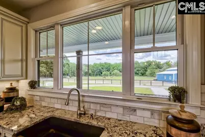 172 Eugene Neese Lane, Swansea, SC 29160 - Photo 6