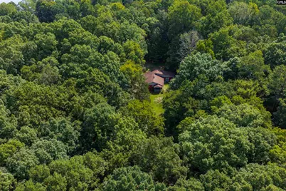 467 Collum Landing Road, Batesburg, SC 29006 - Photo 6
