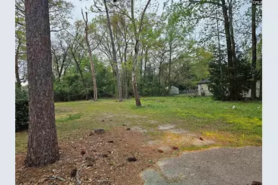 3025 Platt Springs Road, West Columbia, SC 29170 - Photo 1