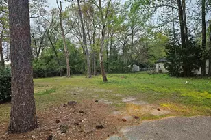3025 Platt Springs Rd, West Columbia, SC 29170 - Photo 1
