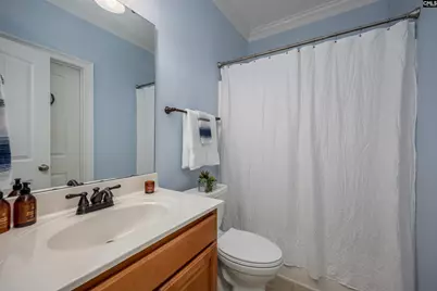 171 Swanhaven Drive, Lexington, SC 29073 - Photo 18