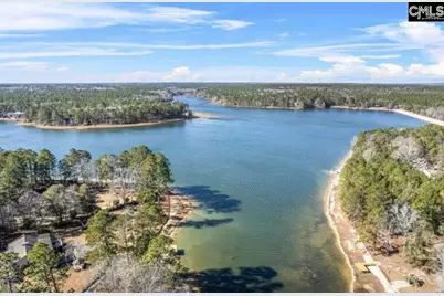 Edisto Lake Road Lot A, Wagener, SC 29164 - Photo 2