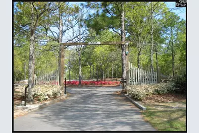 Edisto Lake Road Lot B, Wagener, SC 29164 - Photo 2
